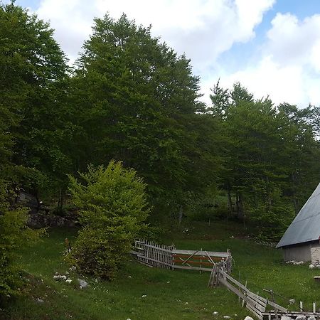 Hawkeye Villa Zabljak  Luaran gambar