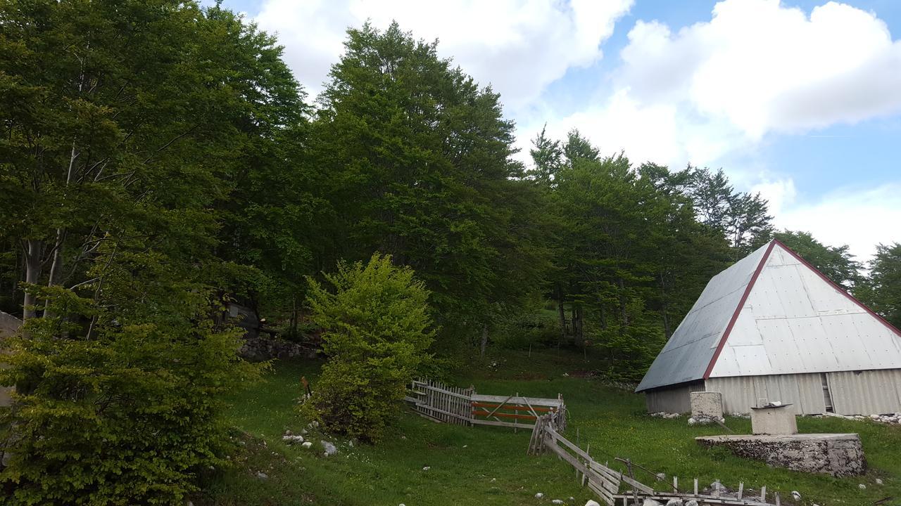Hawkeye Villa Zabljak  Luaran gambar